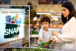 SNAP 2026 Beneficios alimentarios y fechas de depósito actualizadas por estado