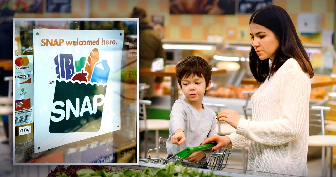 SNAP 2026 Beneficios alimentarios y fechas de depósito actualizadas por estado